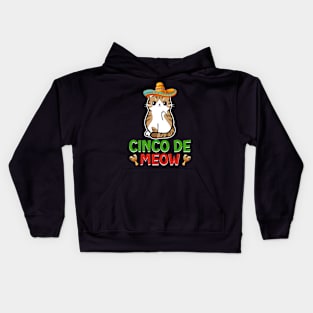 Cinco De Meow, Funny Cinco De Mayo Cat Kids Hoodie